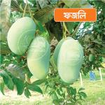 Fazli Mango 10 KG