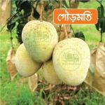 Gourmoti Mango 10 KG
