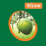 Harivanga Mango 10 KG