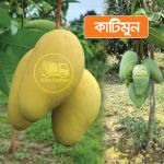 Katimoon Mango 20 KG